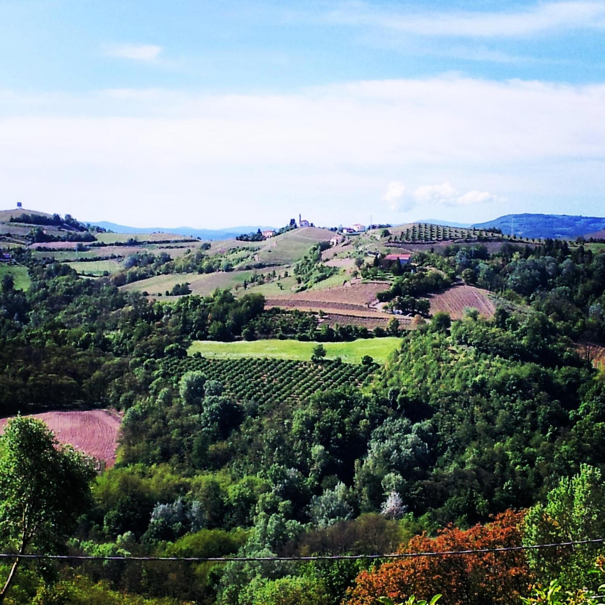 Bed And Breakfast Val D'Oche Castel Boglione Экстерьер фото